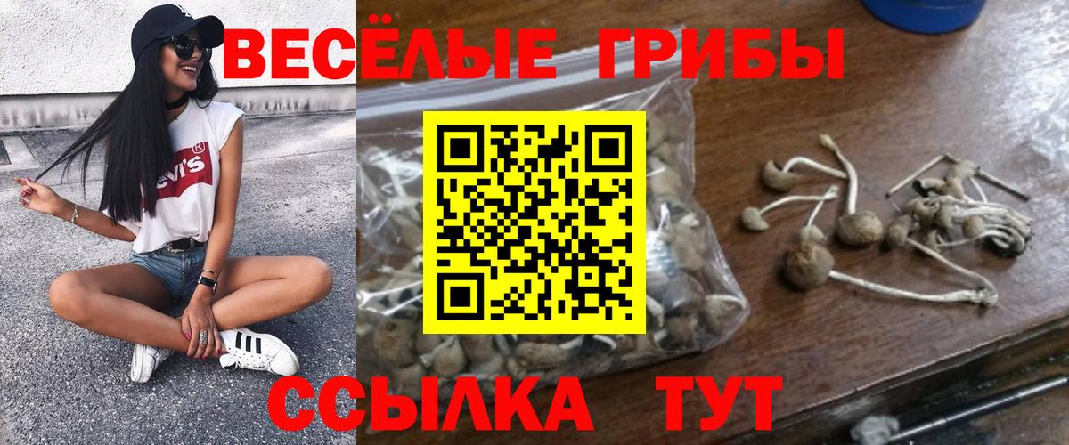 Усинск  дарнет шоп  Вход с VPN  Псилоцибиновые грибы ЛСД 